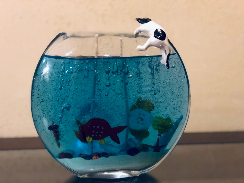 Fish Bowl with a Nosy Cat
