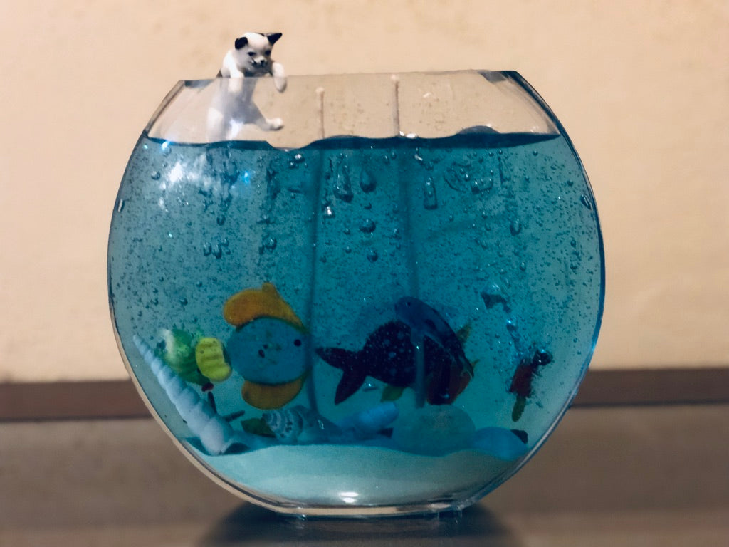 Fish Bowl with a Nosy Cat