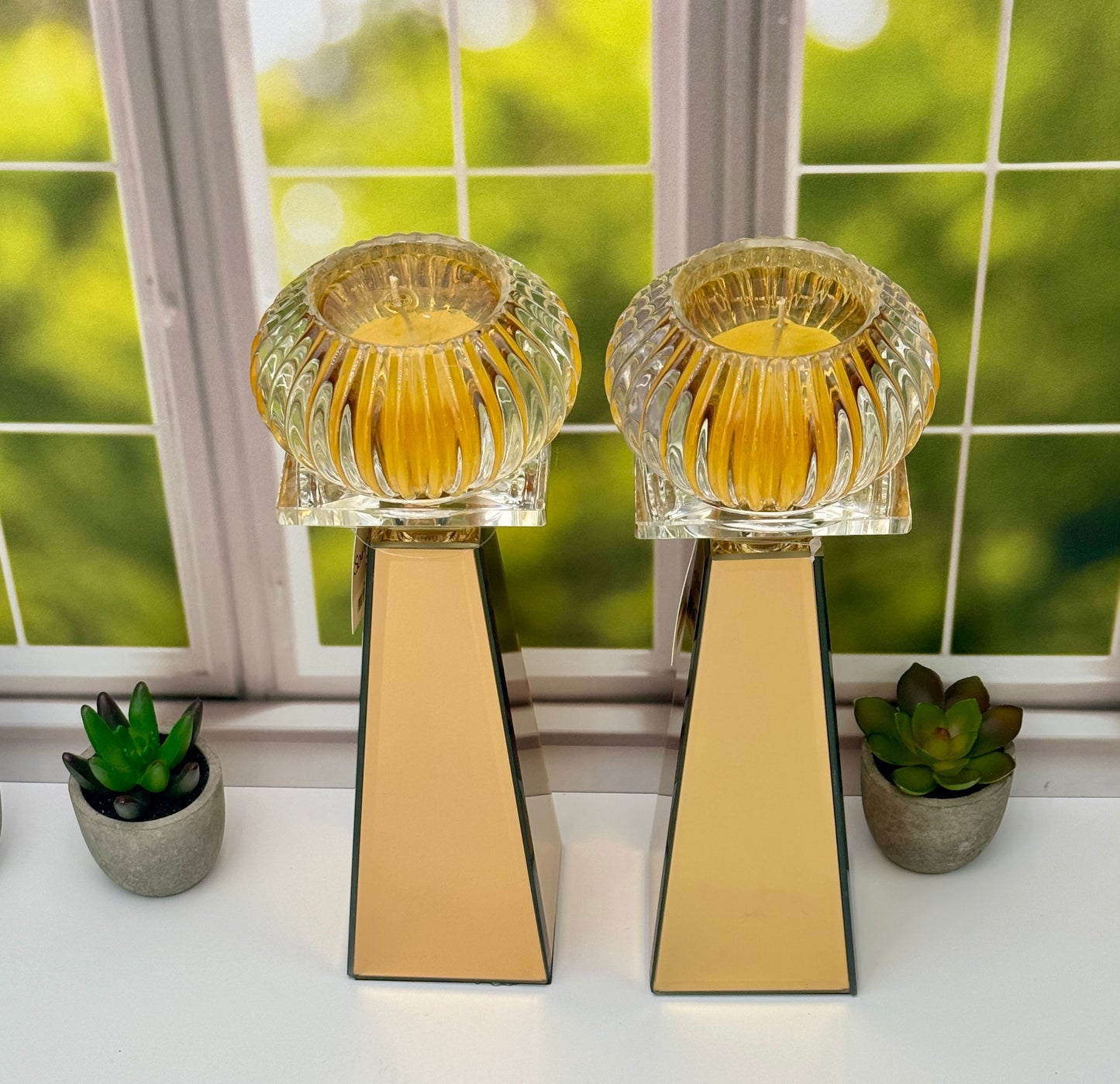 Bronze Beauties