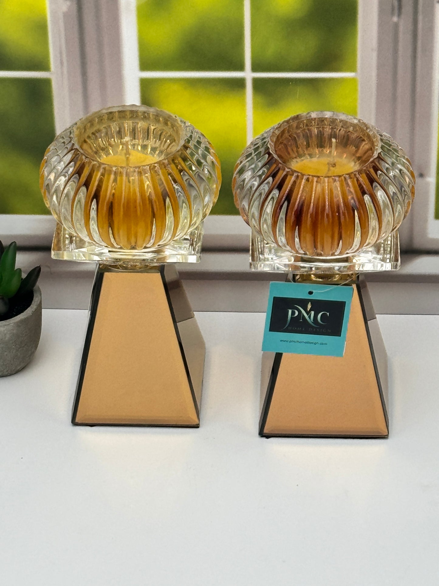 Bronze Beauties